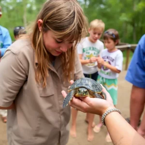 Historic Hatching of Malayan Flat-Shelled Turtle at Zoo Knoxville Marks Conservation Milestone